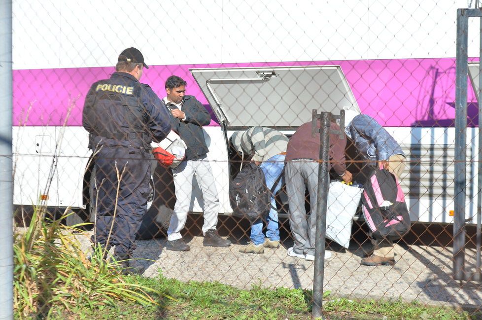 Příjezd prvních zadržených imigrantů do zařízení v Drahonicích, bývalé věznici na Lounsku