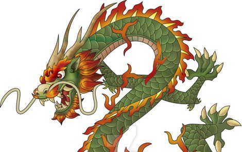 V Číně našli kostru »draka«: Mýtický tvor, nebo rekvizita filmařů?