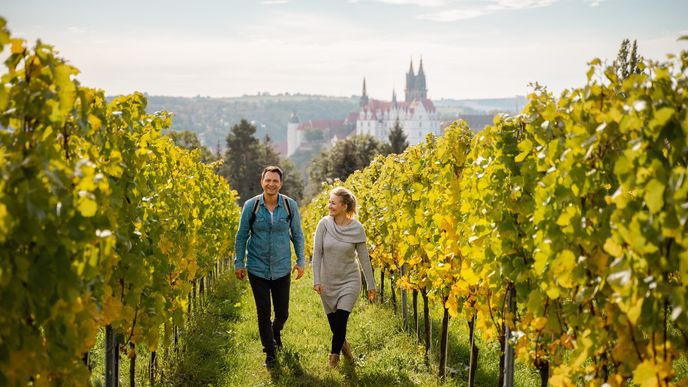 Pěší turistika po vinicích u Míšeně Pěší turistika po vinicích u Míšeně