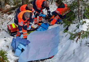 Zraněného lesního dělníka transportovali k záchranářskému vrtulníku na saních. Bylo to pro něj šetrnější.