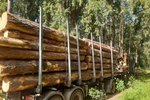 Cyklisté museli na Šumavě uhnout na lesní cestě kamionu se dřevem, řidiče napadli.
