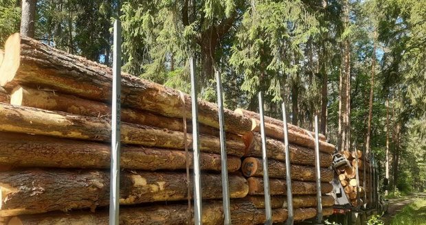 Cyklisté museli na Šumavě uhnout na lesní cestě kamionu se dřevem, řidiče napadli.