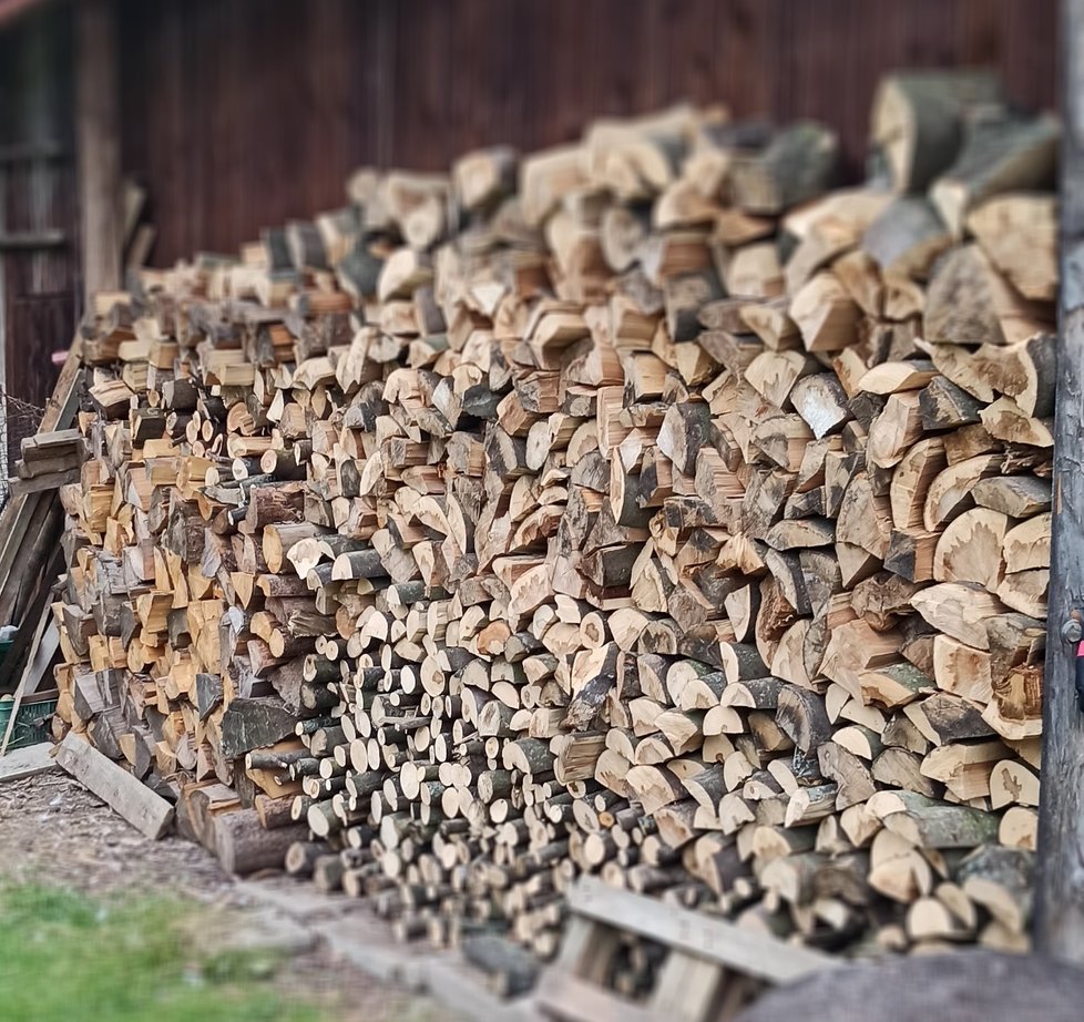 Místo drahých aut si teď sousedé závidí dřevo. Kdo nemá svůj les, musí sáhnout hluboko do peněženky.