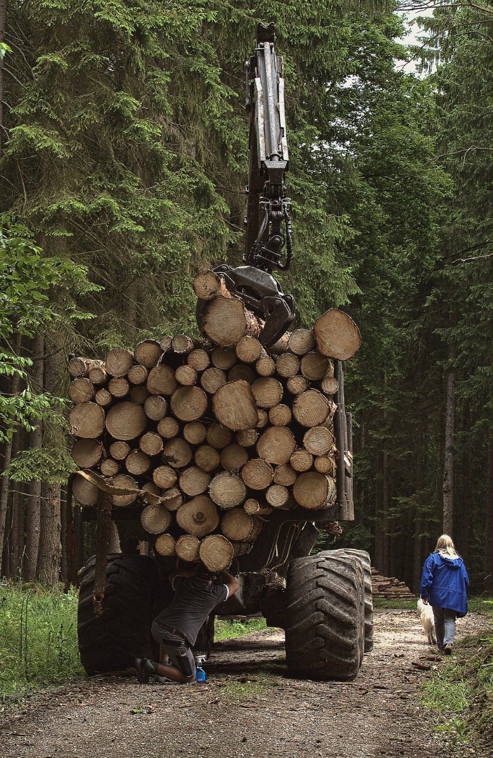 Traktorová vlečka nebo vyvážečka odveze od dvou do pěti kubíků kulatiny, záleží na pečlivém uložení, samotné kulatině a druhu dřeva.