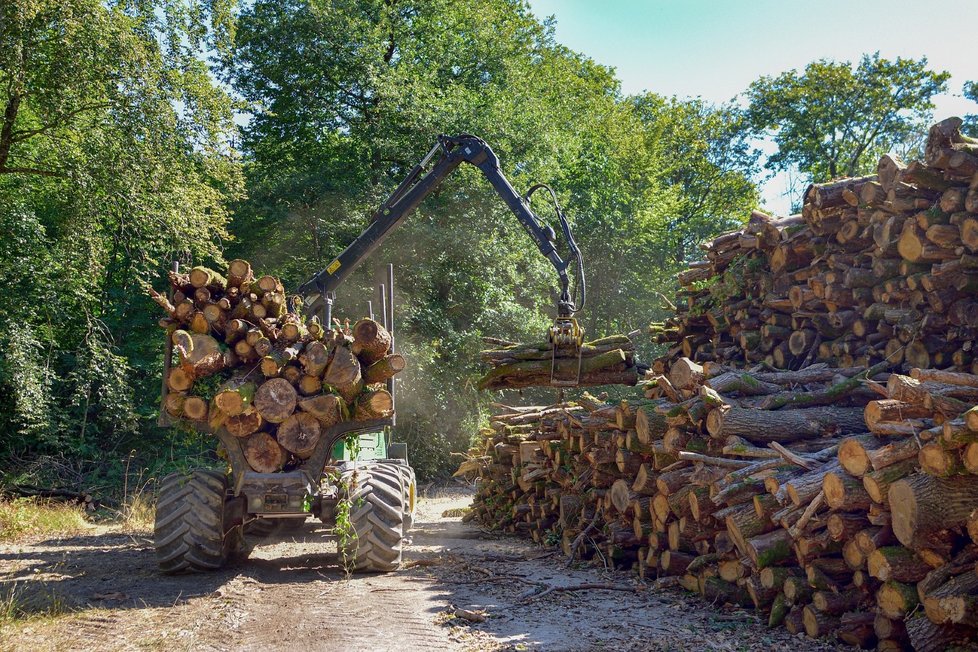 Traktorová vlečka nebo vyvážečka odveze od dvou do pěti kubíků kulatiny, záleží na pečlivém uložení, samotné kulatině a druhu dřeva.