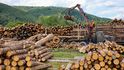 EU dříve dovážela část dřevěných pelet z východní Evropy, import ale zmařily válka a sankce.