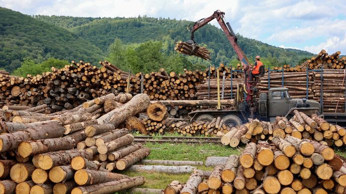 Rekordmanem v pádu cen je dřevo, které za uplynulý rok zlevnilo o téměř sedmdesát procent