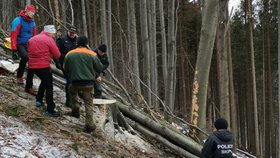 Kácel v prudkém kopci: Strom srazil dřevorubce k zemi a rozmačkal mu hrudník