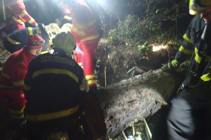 Záchranáři a hasiči vyprošťovali vážně zraněného dřevorubce (26), kterého v lese u Jakartovic na Opavsku zavalil obří pařez.