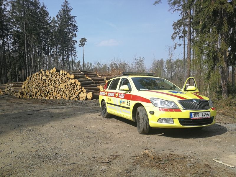 Zdravotníci a hasiči zachraňovali na Vyškovsku dřevorubce, kterého v úterý po poledni zavalil strom.