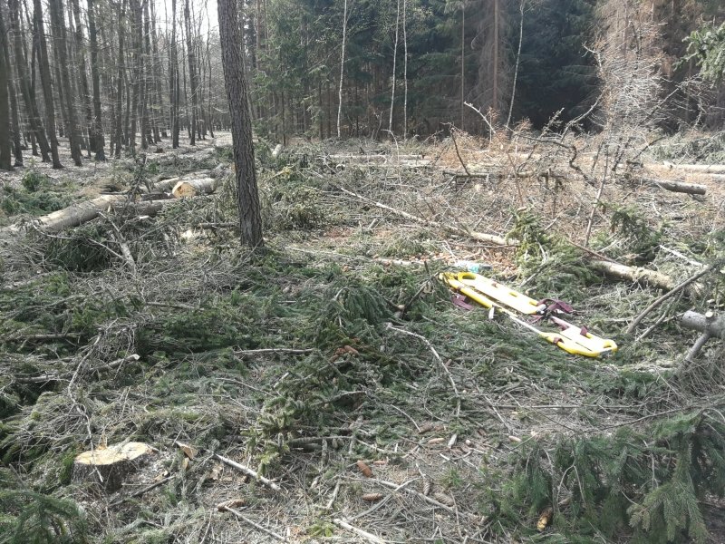 Zdravotníci a hasiči zachraňovali na Vyškovsku dřevorubce, kterého v úterý po poledni zavalil strom.