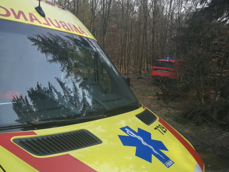 Zdravotníci a hasiči zachraňovali na Vyškovsku dřevorubce, kterého v úterý po poledni zavalil strom.