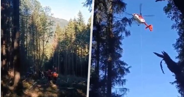 Dramatická záchrana dřevorubce ve Vsetíně: V těžko přístupném terénu na něj spadl strom!