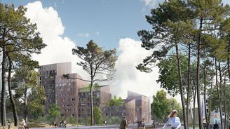 Amsterdam nařídí stavět ze dřeva. Od roku 2025 má obnovitelné materiály použít pětina novostaveb