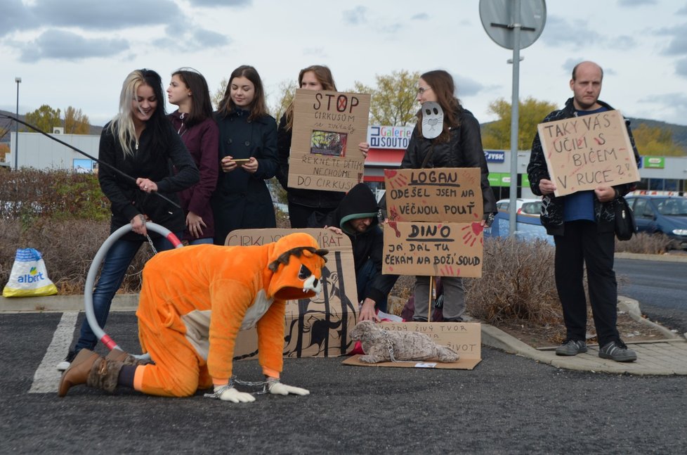 Protesty proti chovu a drezuře zvířat vedou ochránci už několik let. Naději na úplné zrušení prozatím nemají (foto. 2018)