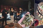 Albánský drogový gang se na Instagramu chlubí svým bohatstvím.