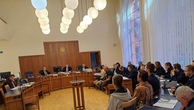 15 obžalovaných výrobců drog a jejich dealerů zaplnilo jednací síň Krajského soudu v Brně.