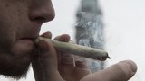 Česko je evropskou továrnou na pervitin. U tuzemců ale vede spíše marihuana