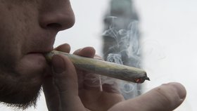 Marihuana je nejrozšířenější drogou v Česku společně s extází.