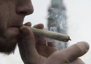 Marihuana je nejrozšířenější drogou v Česku společně s extází.