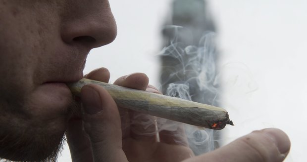 Marihuana je nejrozšířenější drogou v Česku společně s extází.