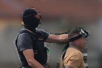 50 kilo marihuany za 3,5 milionu: Drogový gang už zásilku do Polska nepřeveze, drapli ho