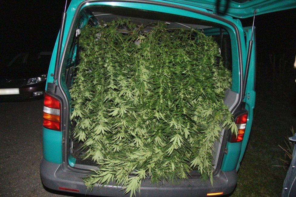 Policisté v Třinci odhalili skupinu pěstitelů marihuany. Drogou měli nacpanou dodávku.