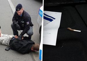 Mladý dealer při utíkání před policií naházel drogy do Vltavy. Tam si na ně brousila zuby labuť.
