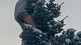 Odmítal slézt dolů.