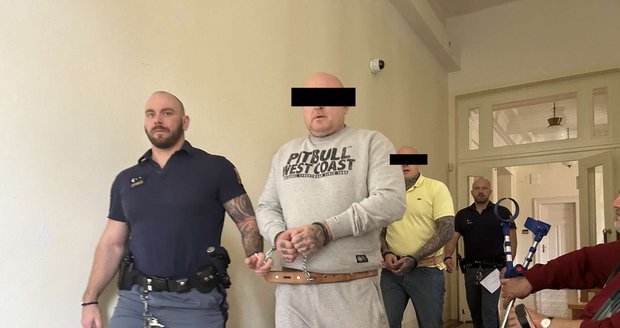 Pašovali heroin kvůli dětem. Soud v Praze jim dal 7,5 roku!