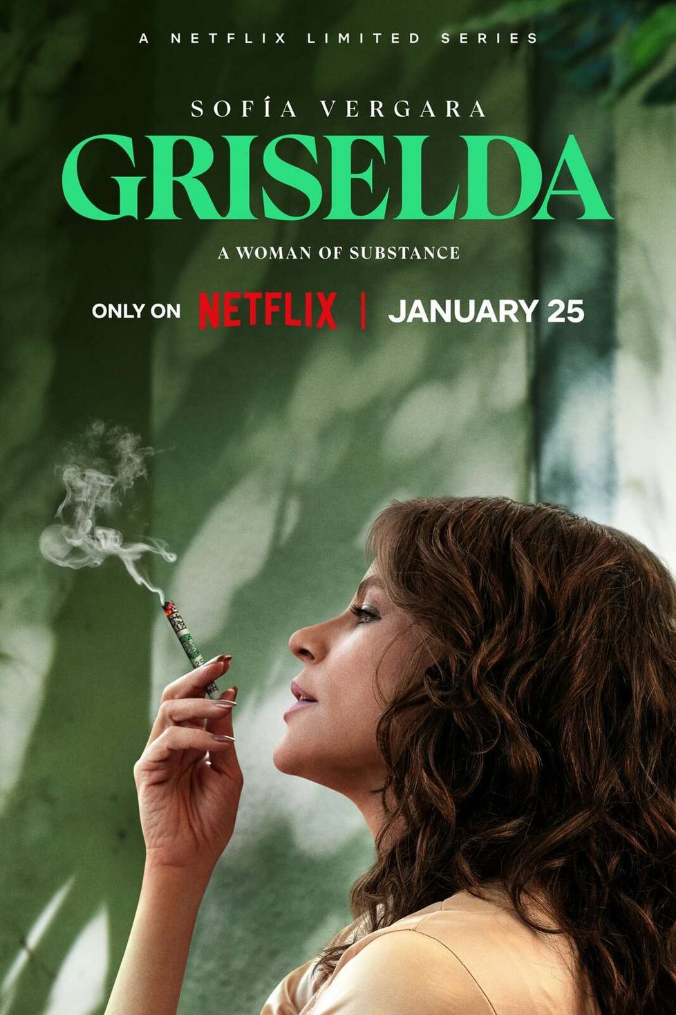 Griselda (Netflix): Griselda Blanco uteče se třemi malými syny a kilem kokainu z Medellínu do Miami, kde se z ní stane nemilosrdná šéfka drogového impéria, které se rychle rozrůstá.
