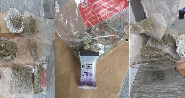 Policisté na Znojemsku rozprášili drogový gang, který řídila dvojice bratrů.