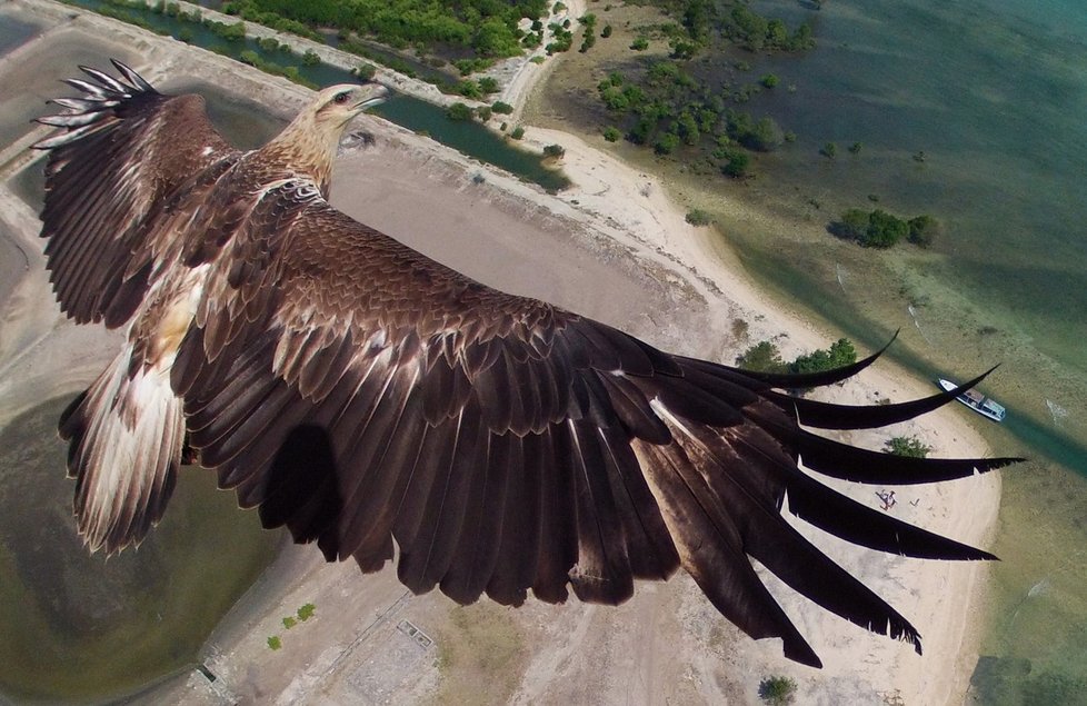 Úžasné fotky z ptačí perspektivy zachycují přírodu i památky