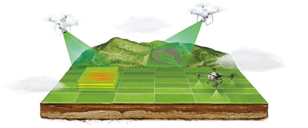 Drony monitoruji stav a zajišťují kvalitu úrody