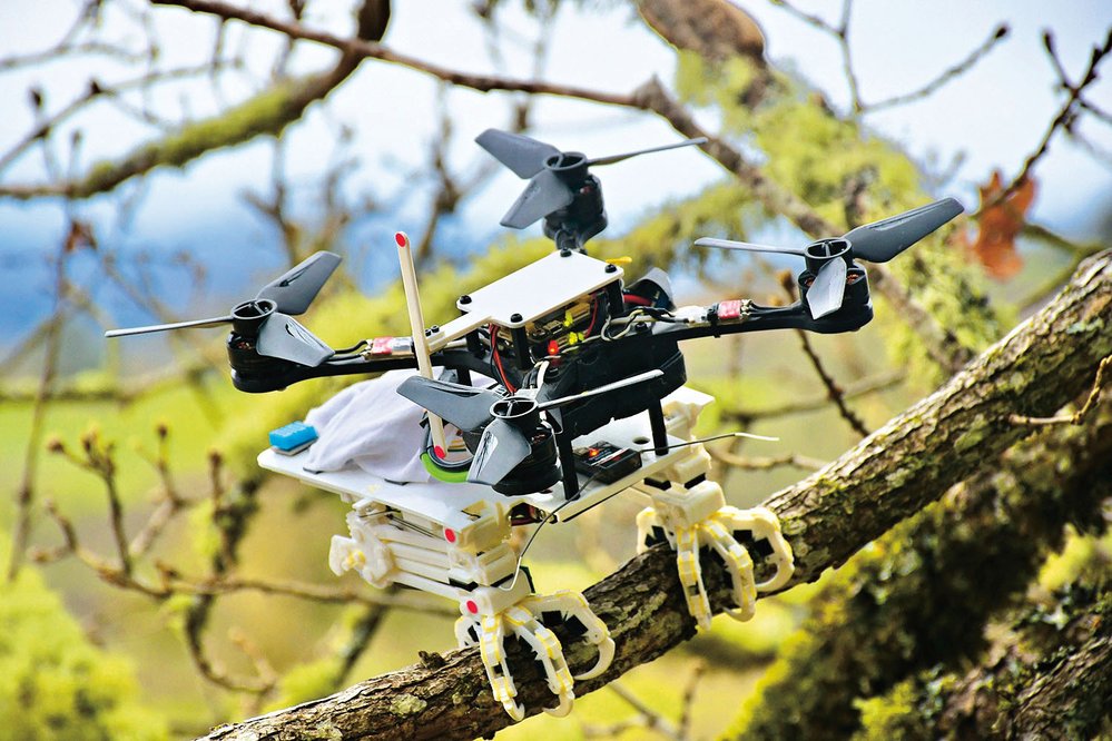 Biometrické drony se inspirují přírodou