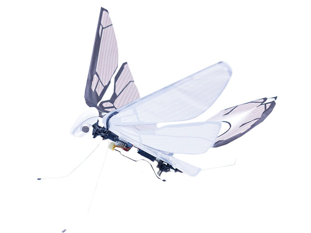 MetaFly je jeden z mála zvířecích dronů, které si můžete koupit online