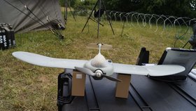 Dron typu Wasp