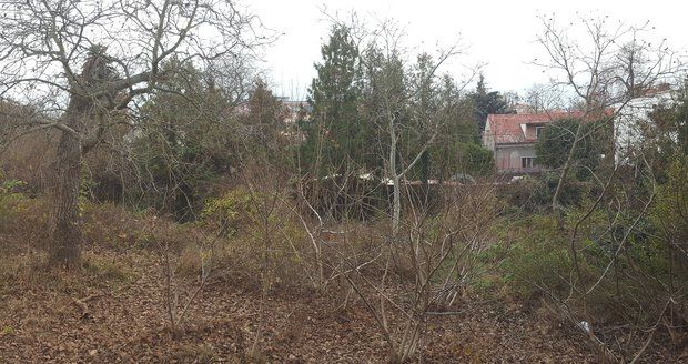 V Modřanech vzniká nová komunitní zahrada.