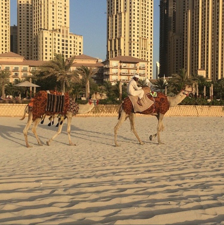 Na dubajské pláži běžně chodili velbloudi