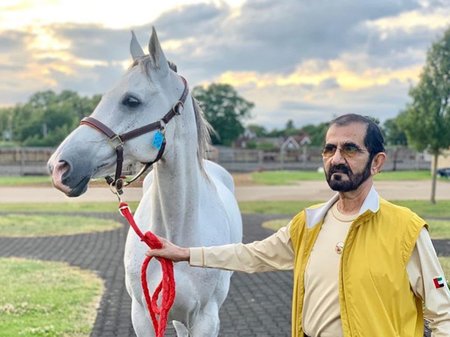 Dubajský šejch Muhammad je velkým milovníkem koní.