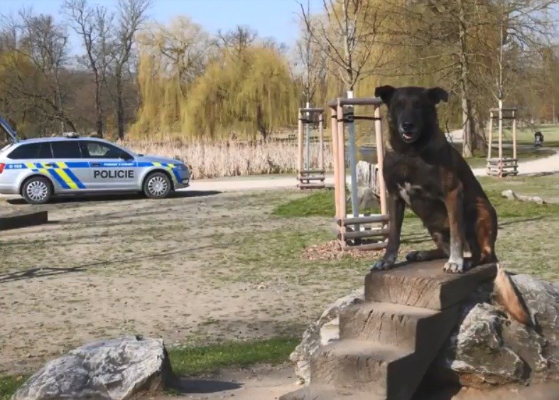 Policejní celebritě Bondovi bude v dubnu 10 let. 6. dubna odešel do důchodu.