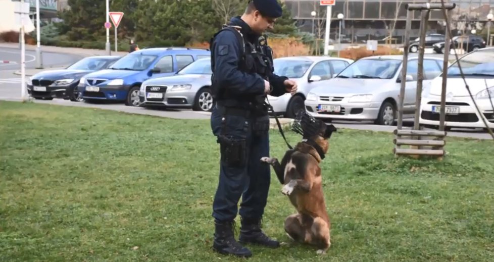 Policejní celebritě Bondovi bude v dubnu 10 let. 6. dubna odešel do důchodu.