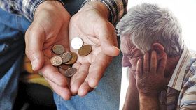 ČSSD žádá, aby se co nejdříve sešli poslanci a projednali zvýšení penzí. Důchody mají vzrůst od ledna. (ilustrační foto)