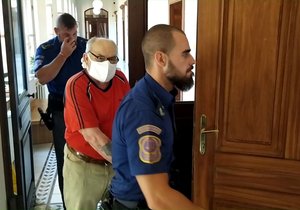 Senior Pavel Hynek (77) půjde už po osmnácté do vězení. Za podvody a loupež jej Krajský soud v Brně poslal definitivně na 6 let za mříže.