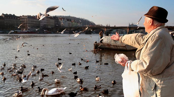 Český důchodce je v myslích zbytku populace člověk, který chodí krmit holuby nebo vysedává u okna a počítá auta.