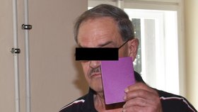 Německý důchodce žijící v Klatovech dostal dvouletou podmínku, pokutu 20 tisíc korun a 18 měsíců bude bez řidičáku.