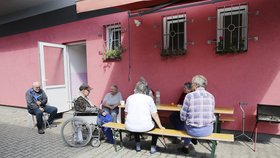 Obyvatele domova našel včera Blesk na odpoledním posezení na sluníčku.