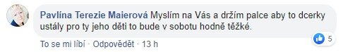 Reakce sledujících na facebookový příspěvek kardinála Duky týkající se pohřbu Karla Gotta se státními poctami.