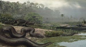 Monstra z uhelného dolu: Plazi, co nahradili dinosaury