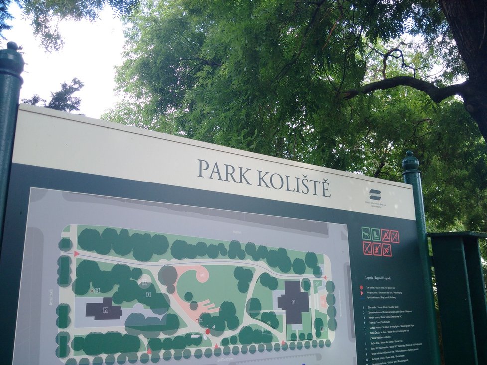 Změny se týkají nejen Domu umění, ale i části sousedícího parku Koliště.